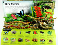 3D-utforskaren &ndash; INSEKTER &ndash; En resa till de sm&aring; djurens v&auml;rld