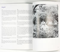 MATISSE &ndash; Et nyt liv