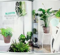 INRED MED GR&Ouml;NA V&Auml;XTER &ndash; Skapa vackra milj&ouml;er &ndash; R&auml;tt sort f&ouml;r varje rum