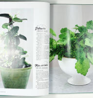 INRED MED GR&Ouml;NA V&Auml;XTER &ndash; Skapa vackra milj&ouml;er &ndash; R&auml;tt sort f&ouml;r varje rum