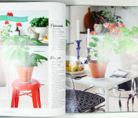 INRED MED GR&Ouml;NA V&Auml;XTER &ndash; Skapa vackra milj&ouml;er &ndash; R&auml;tt sort f&ouml;r varje rum