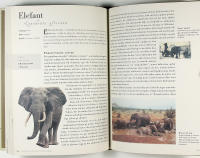 FEMTIO DJUR som &auml;ndrat HISTORIENS g&aring;ng