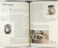 FEMTIO DJUR som &auml;ndrat HISTORIENS g&aring;ng