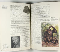 FEMTIO DJUR som &auml;ndrat HISTORIENS g&aring;ng