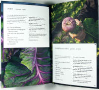 MADE IN SWEDEN &ndash; Det b&auml;sta ur Sveriges rika skafferi! &ndash; 15 r&aring;varor, 90 recept fr&aring;n Lappland till Sk&aring;ne