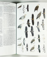 BIRDS of THAILAND &ndash; A Field Guide with Thai Plate Labels and Index