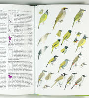 BIRDS of THAILAND &ndash; A Field Guide with Thai Plate Labels and Index