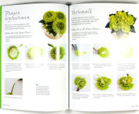 100 BLOMSTER af SM&Oslash;RCREME &ndash; Den store trin-for-trin guide til dekorative blomster af sm&oslash;rcreme