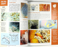 AUSTRALIAN MARINE LIFE &ndash; Amazing facts about