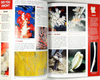 AUSTRALIAN MARINE LIFE &ndash; Amazing facts about