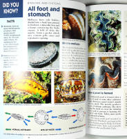 AUSTRALIAN MARINE LIFE &ndash; Amazing facts about