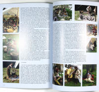 LE GUERRIER GAULOIS &ndash; Du hallstatt &agrave; la conqu&ecirc;te romaine