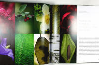 FREDRIKSDAL &ndash; Museer och tr&auml;dg&aring;rdar