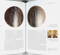 I GONZAGA DI MANTOVA &ndash; Una stirpe per una capitale europea &ndash; Vol 1 &ndash; ASCESA DI UNA DINASTIA da Luigi a Gianfrancesco (1328&ndash;1432)