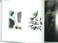 BEFORE THE DARKNESS &ndash; PER BAK JENSEN