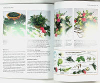 FENG SHUI FLOWERS &ndash; Bringing Health, Wealth and Happiness Into Your Home
