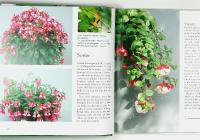 100 FUCHSIOR och hur du sk&ouml;ter dem