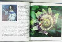 DEN FANTASTISKE BLOMSTEN &ndash; En kulturhistorisk reise