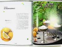 LEMONADER, SOMMARDRYCKER och SORBETER