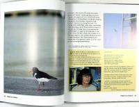 F&Aring;GLARNAS MALM&Ouml;