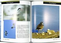 F&Aring;GLARNAS MALM&Ouml;