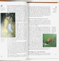 The RHODESIAN RIDGEBACK &ndash; An Owner's Guide to a Happy Healthy Pet