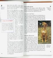 The RHODESIAN RIDGEBACK &ndash; An Owner's Guide to a Happy Healthy Pet