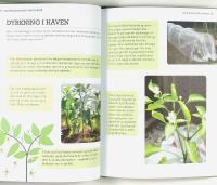 DEN R&Oslash;DGL&Oslash;DENDE CHILIDYRKER &ndash; En komplet guide til pasning, plukning og konservering af chilier