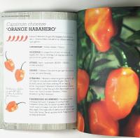 DEN R&Oslash;DGL&Oslash;DENDE CHILIDYRKER &ndash; En komplet guide til pasning, plukning og konservering af chilier