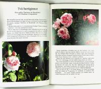 ROSOR fr&aring;n mormors tid