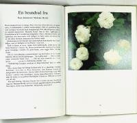 ROSOR fr&aring;n mormors tid