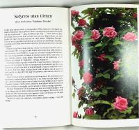 ROSOR fr&aring;n mormors tid