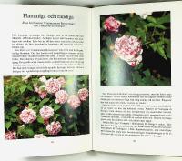 ROSOR fr&aring;n mormors tid