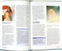 F&ouml;rsta VALPSKOLAN &ndash; Allt du beh&ouml;ver veta f&ouml;r att f&aring; en perfekt valp