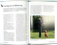 F&ouml;rsta VALPSKOLAN &ndash; Allt du beh&ouml;ver veta f&ouml;r att f&aring; en perfekt valp