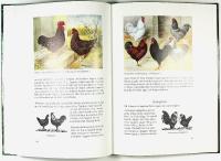 H&Ouml;NS OCH ANDRA FJ&Auml;DERF&Auml;N