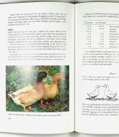 H&Ouml;NS OCH ANDRA FJ&Auml;DERF&Auml;N