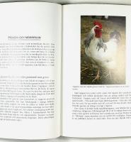 H&Ouml;NS OCH ANDRA FJ&Auml;DERF&Auml;N