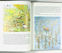 Hans Christian Andersen &ndash; FAIRY TALES