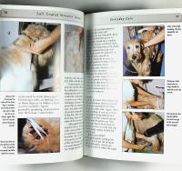 SOFT COATED WHEATEN TERRIER