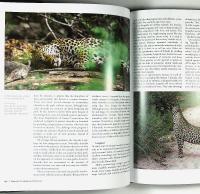 On the Trail of THE WILD &ndash; Encounters in the Southern African Bush