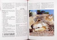 VARDAGSLYDNAD &ndash; Hundens tr&auml;ning och hund&auml;garens vardag