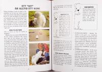 VARDAGSLYDNAD &ndash; Hundens tr&auml;ning och hund&auml;garens vardag