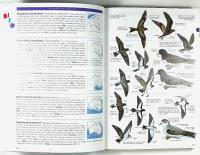 Field Guide to AUSTRALIAN BIRDS
