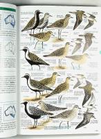 Field Guide to AUSTRALIAN BIRDS