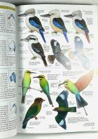 Field Guide to AUSTRALIAN BIRDS