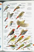 Field Guide to AUSTRALIAN BIRDS