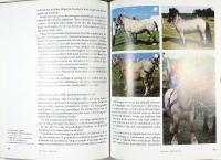 H&Auml;STENS F&Auml;RGER &ndash; Ny aktualiserad och ut&ouml;kad utg&aring;va