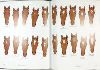 H&Auml;STENS F&Auml;RGER &ndash; Ny aktualiserad och ut&ouml;kad utg&aring;va