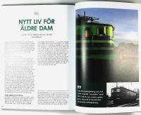 J&Auml;RNV&Auml;GSMUSEETS STJ&Auml;RNOR &ndash; Sm&aring; ber&auml;ttelser om v&aring;ra lok och vagnar